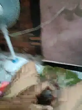 Snapshot of Daddy_883 chatting on 03-10-26, 12:48 Daddy 883 online show from 03-10-26, 12:48