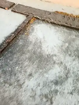 Snapshot of Desii_rockstarr chatting on 03-11-26, 01:11 Desii rockstarr online show from 03-11-26, 01:11