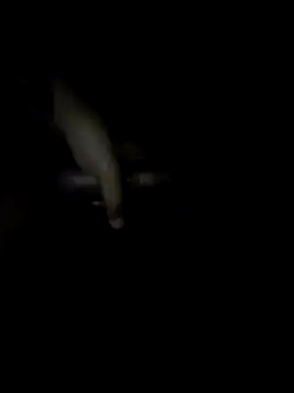 BronzedMask1 online show from 05-14-26, 08:32