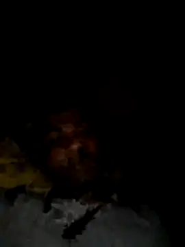 Snapshot of Palash2001 chatting on 04-18-26, 05:50 Palash2001 online show from 04-18-26, 05:50