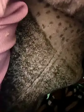 Snapshot of Cute__soniya143 chatting on 03-17-26, 05:44 Cute soniya143 online show from 03-17-26, 05:44