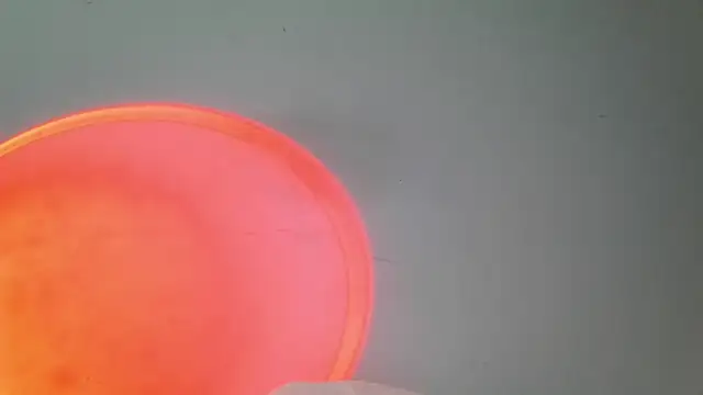 Snapshot of srghost333 chatting on 03-25-26, 03:56 srghost333 online show from 03-25-26, 03:56