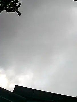 Snapshot of Cute-flowers chatting on 03-21-26, 02:38 Cute-flowers online show from 03-21-26, 02:38