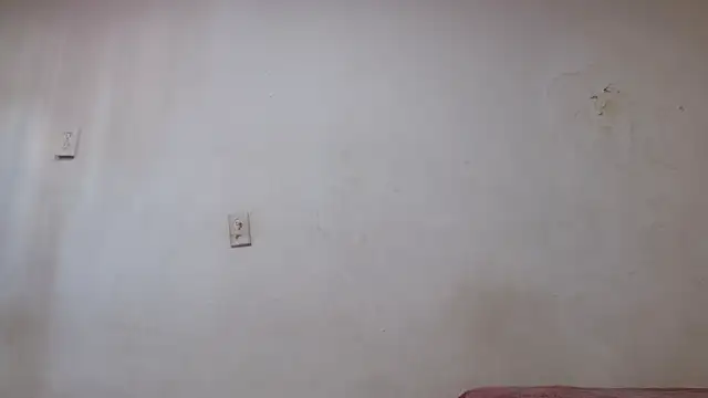 pircohg online show from 04-22-26, 05:58