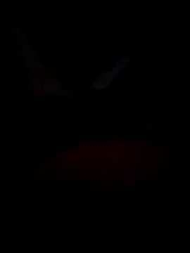 B S0051 online show from 04-10-26, 08:13