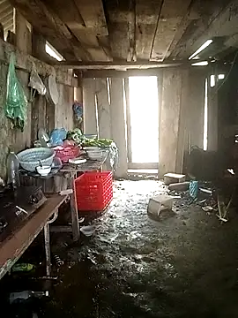 Lily Daisy online show from 03-25-26, 03:56