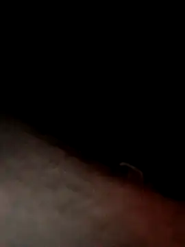 Snapshot of dannyboy8in chatting on 03-24-26, 05:34 dannyboy8in online show from 03-24-26, 05:34