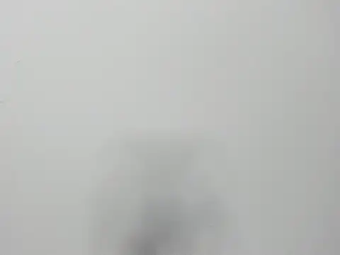 Alejandra and James  online show from 03-29-26, 11:21