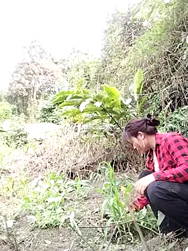 Giang-mylove online show from 04-04-26, 02:32