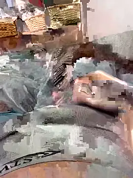 lucasss060 online show from 03-31-26, 08:31