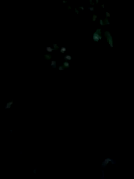 Snapshot of babyandbha chatting on 05-13-26, 07:39 babyandbha online show from 05-13-26, 07:39