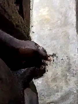 pksd3 online show from 04-21-26, 04:52