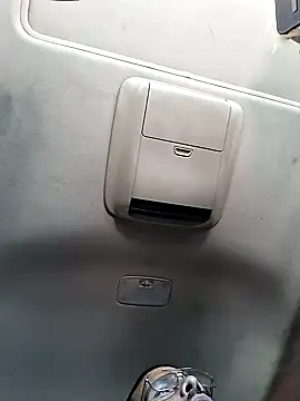 wildnfree12 online show from 04-11-26, 09:41