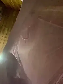   Sunflower   online show from 04-11-26, 01:04