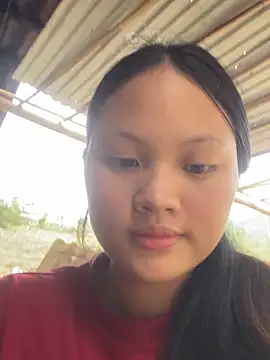   Sunflower   online show from 04-20-26, 06:27