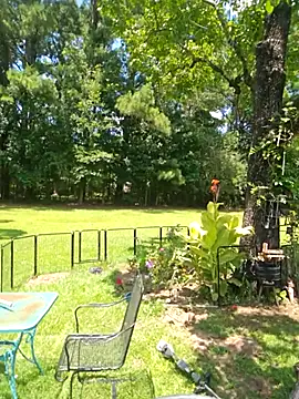 Blondejenn online show from 06-29-26, 06:52