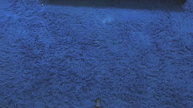 Mia-collins01 online show from 04-15-26, 12:34