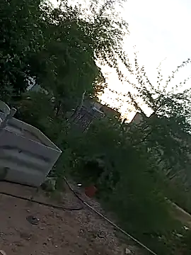  - - putinha - - online show from 04-20-26, 08:21