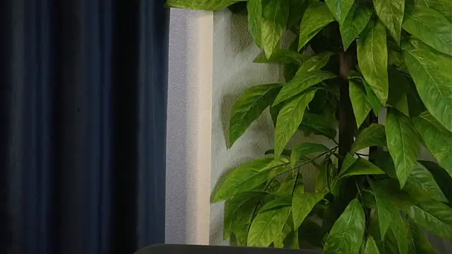 SelmaHjort online show from 04-27-26, 11:52