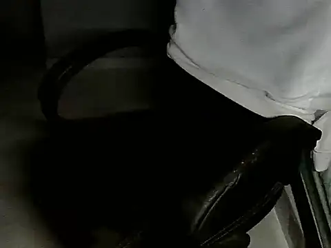 bielzinsantostx online show from 05-03-26, 12:38