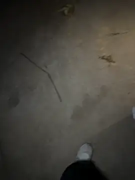   I like    online show from 04-30-26, 02:45