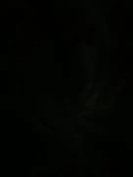 Snapshot of tokuda-qq chatting on 05-25-26, 10:43 tokuda-qq online show from 05-25-26, 10:43