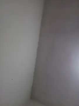 Snapshot of wbrankinha chatting on 06-03-26, 02:33 wbrankinha online show from 06-03-26, 02:33