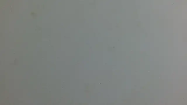 luna bella160920 online show from 06-01-26, 12:40