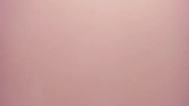  anais rose  online show from 05-30-26, 12:24