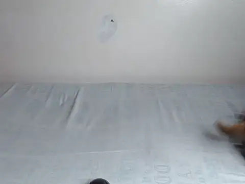 fabbie01  online show from 07-14-26, 02:16