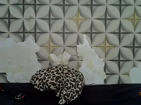 Snapshot of fine_grap chatting on 06-23-26, 05:05 fine grap online show from 06-23-26, 05:05