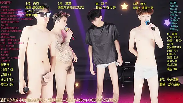 WildBoys-006 online show from 06-11-26, 10:46