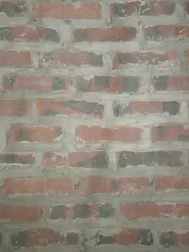 Rine3 online show from 05-25-26, 07:09
