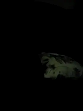 Tashaspicy online show from 05-29-26, 02:53