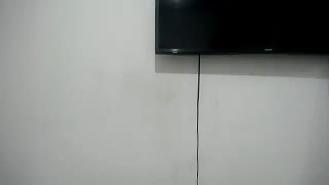 Fox Loves online show from 06-26-26, 11:20