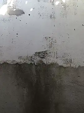 Carlosxnts online show from 06-24-26, 06:29