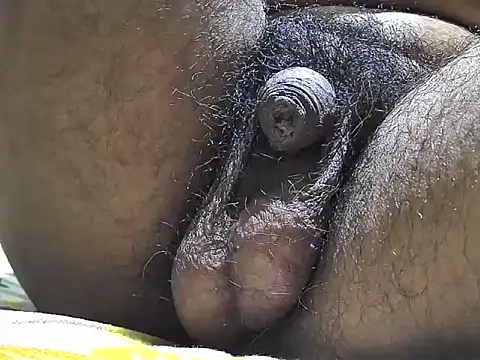 indiboy009 online show from 09-17-25, 06:31