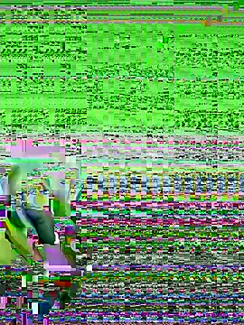 Snapshot of bigorange11 chatting on 06-20-26, 07:22 bigorange11 online show from 06-20-26, 07:22