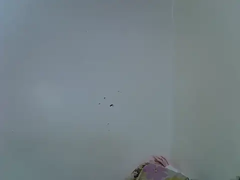 Snapshot of velvet_luxe chatting on 06-28-26, 04:24 velvet luxe online show from 06-28-26, 04:24