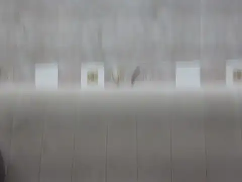 Snapshot of hey_darling_ chatting on 06-12-26, 01:10 hey darling online show from 06-12-26, 01:10