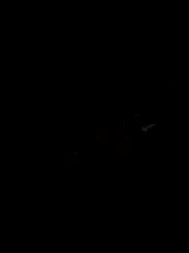 drukboy93 online show from 06-06-26, 07:57