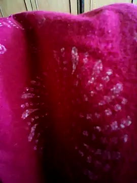 Snapshot of vandana-love chatting on 06-23-26, 06:22 vandana-love online show from 06-23-26, 06:22