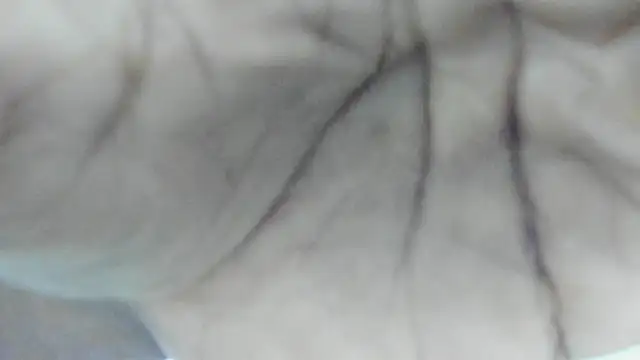 Philip Cuellar online show from 07-23-26, 12:36