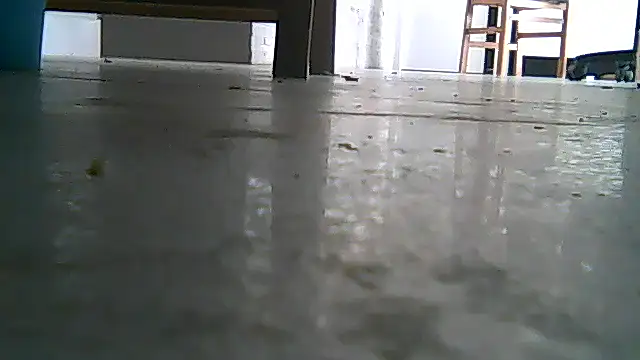 SirFrankonde online show from 08-01-26, 12:48