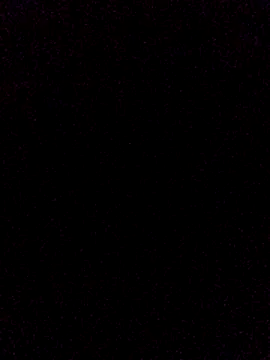 vergonpiton online show from 07-14-26, 10:37