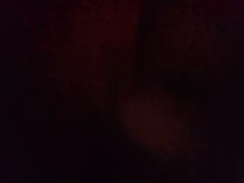 Snapshot of LunaVegamx chatting on 08-02-26, 08:02 LunaVegamx online show from 08-02-26, 08:02