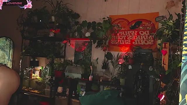 Dead Butterfly online show from 11-01-25, 03:08