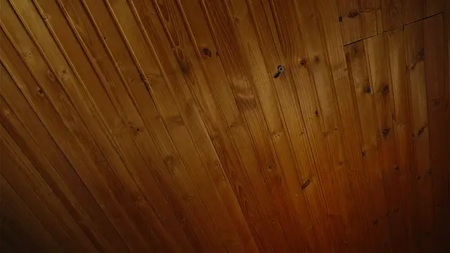 Snapshot of coraline_latin chatting on 09-25-25, 07:39 coraline latin online show from 09-25-25, 07:39
