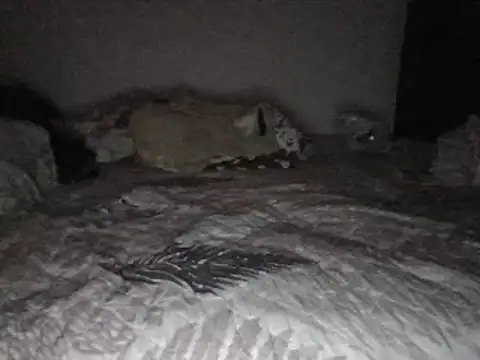 bscc online show from 01-31-25, 12:07