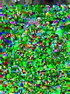 Snapshot of sissyvee chatting on 01-15-26, 05:01 sissyvee online show from 01-15-26, 05:01